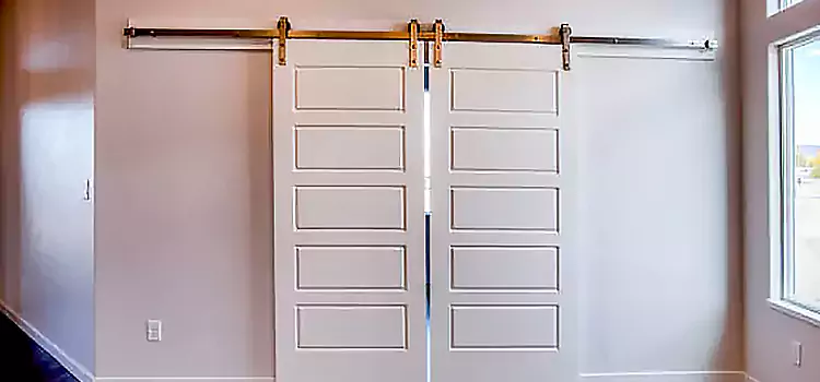 Glass Barn Door with Installation Hardware Kit Topeka